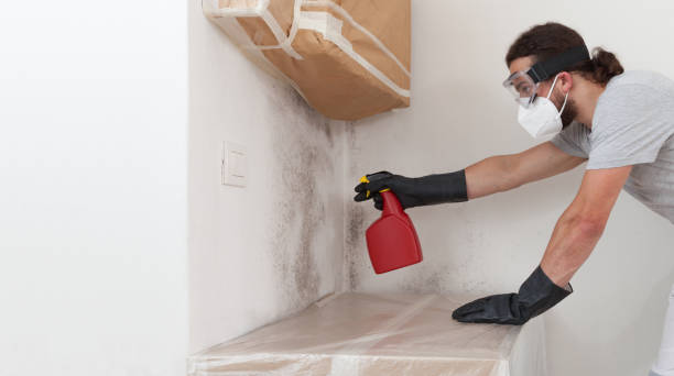 Professional Commercial Mold Remediation technician working in Castalia, NC