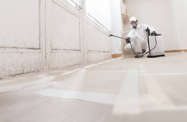 24/7 Emergency Commercial Mold Remediation experts in Castalia, NC